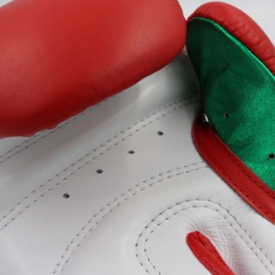 Gants de boxe adidas Speed Pro Rouge/Vert/Blanc-1