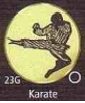 Emblème Karate pour coupes et médailles 5 cm - OR-2