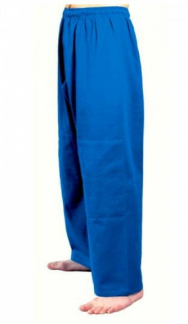 Pantalon de judo bleu-3