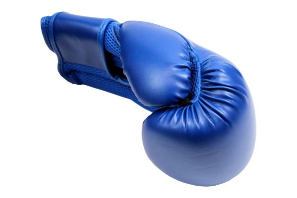 Blue boxing gloves-1