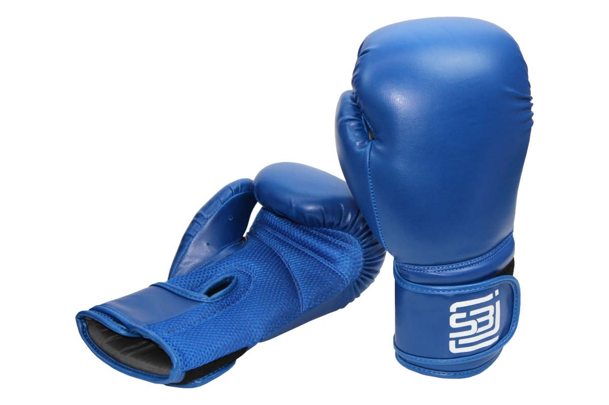 Blue boxing gloves-2