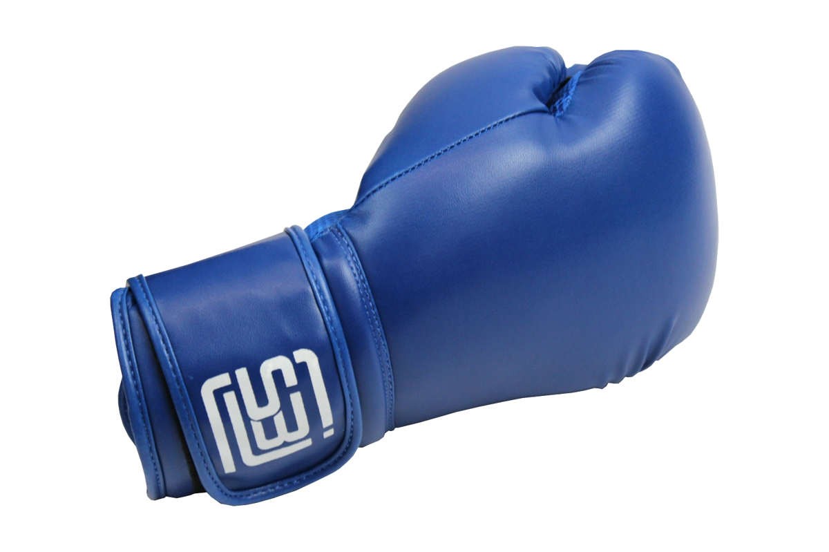 Blue boxing gloves-4