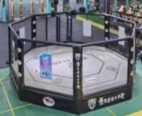 Octogone de MMA - 7m x 7m-1