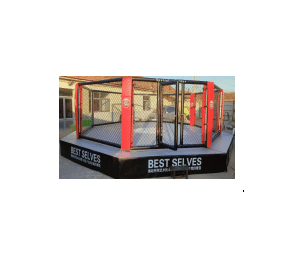 Octogone de MMA avec podium - 7m x 7m-1
