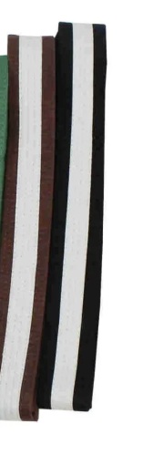 CEINTURE MARRON/BLANC/MARRON-1